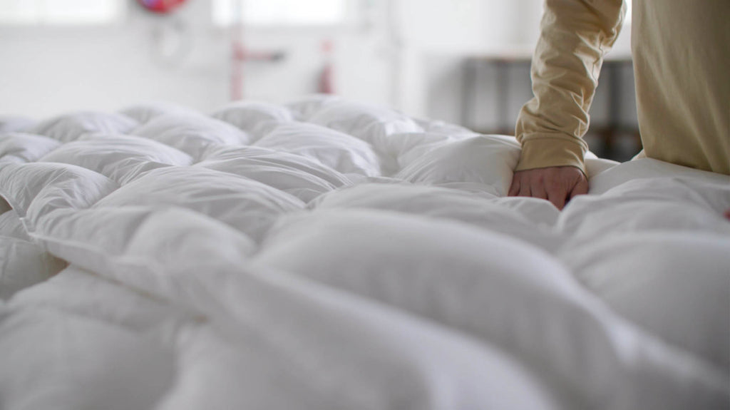 What is the Best Doona Filling – Bonny